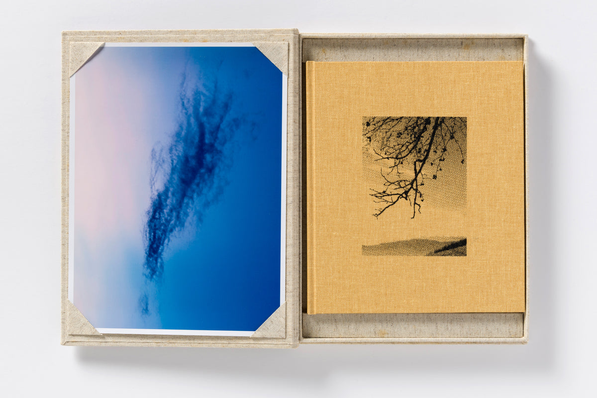 Matej Sitar : Morning Sun Special Edition