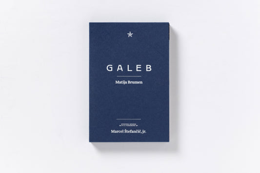 Matija Brumen : Galeb