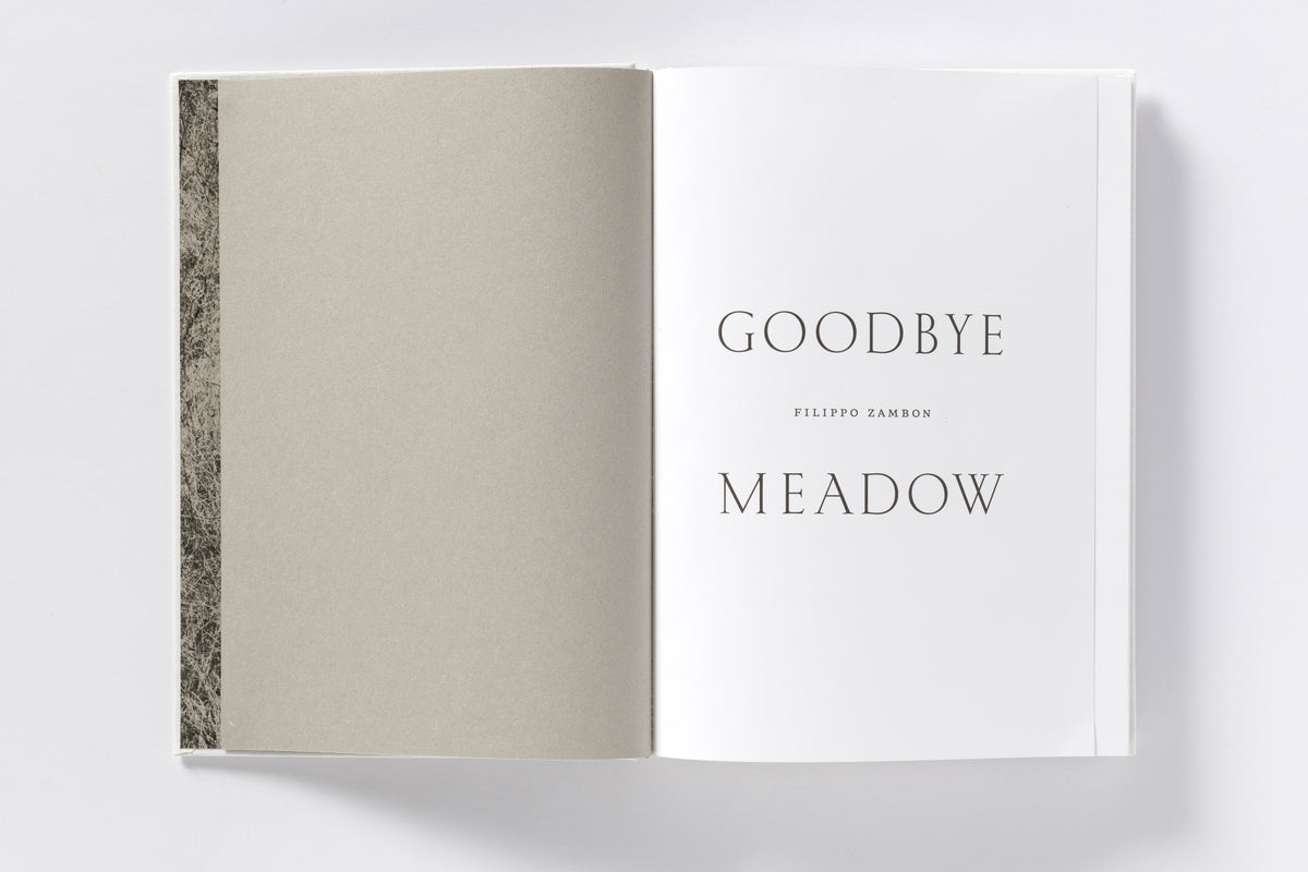 Fillipo Zambon : Goodbye Meadow